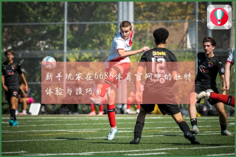 新手玩家在6686体育官网中的独特体验与技巧分享